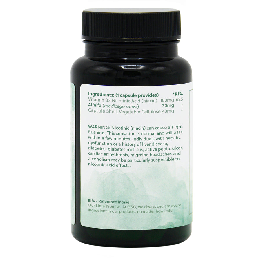 VITAMIN B3 NIACIN 100MG - 120 KAPSLAR